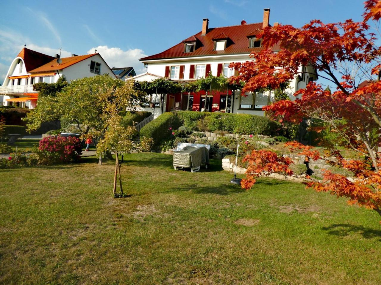 Seehaus Wellenhof Hotel Hagnau am Bodensee Buitenkant foto